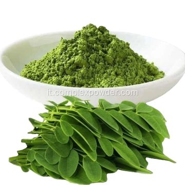 Polvere di estratto di Moringa organica in polvere di foglie di Moringa sfusa